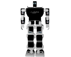 Bipedal Locomotion